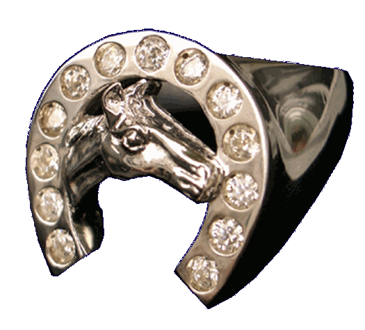 horseshoe ring 