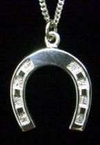 horseshoe pendant